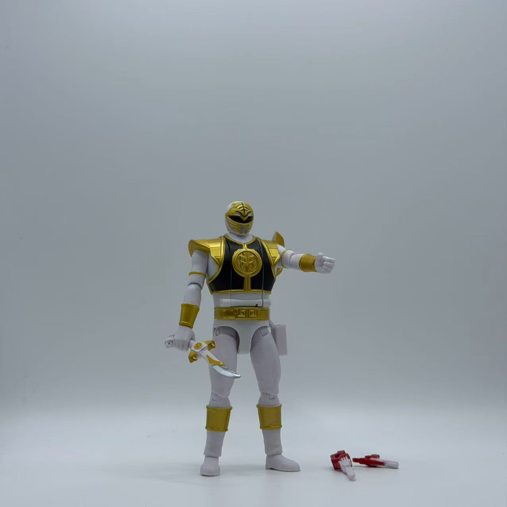 Mighty Morphin Power Rangers R - Model Kit Power Rangers 评论和价格